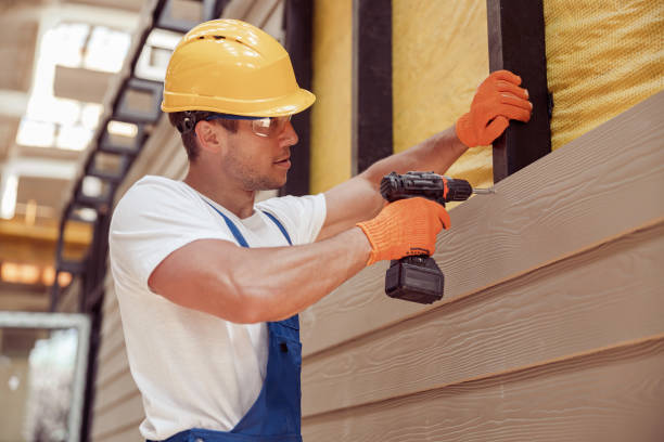 Best Brick Veneer Siding  in Phillipsburg, GA